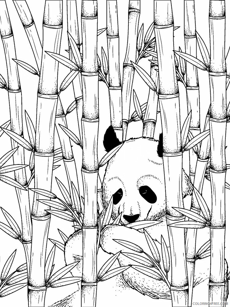 mewarnai gambar panda makan bambu