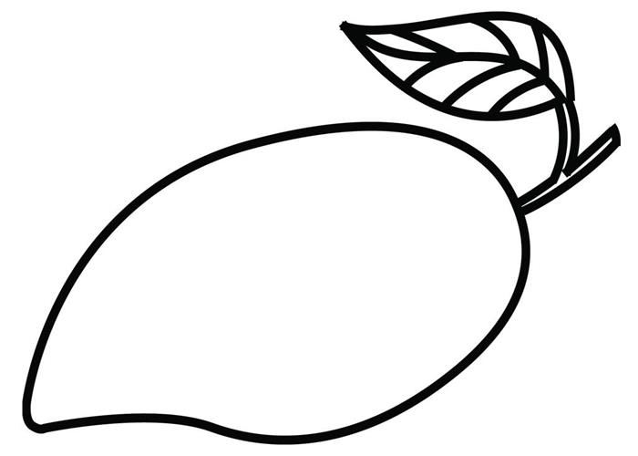 contoh mewarnai buah mangga hd