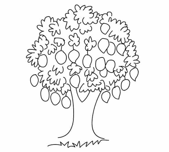 contoh mewarnai gambar pohon mangga