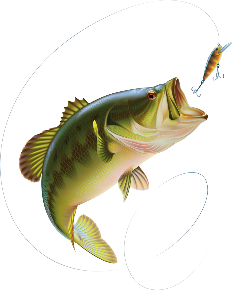ikan logo